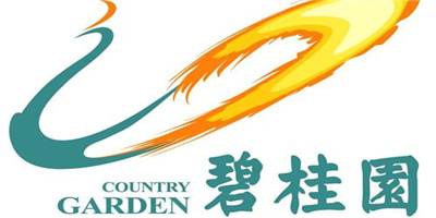 碧桂园房地产开发有限公司